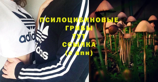 mdpv Арсеньев