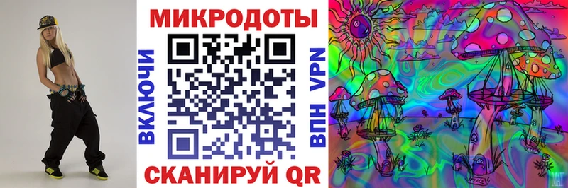 KRAKEN вход  Чебаркуль  Псилоцибиновые грибы Psilocybe 
